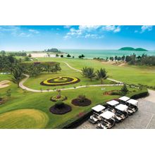 Golf Course And Carts Wall Mural