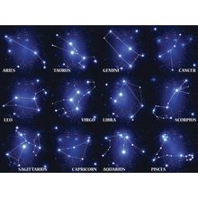 Zodiac Sign Constellations Wall Mural