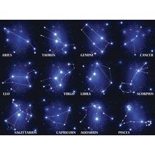 Zodiac Sign Constellations Wall Mural