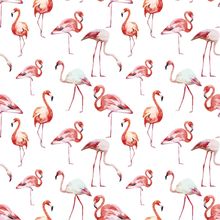 Watercolor Flamingos Wall Mural