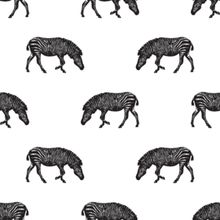 Zebra Trot Pattern Wallpaper