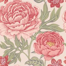 Pretty Peony Pattern - Pink Wallpaper