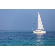 Calm Waters Wall Mural