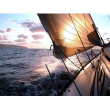 Sunrise Sailing Wall Mural