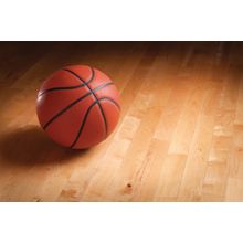 Court Floor Basketball Wall Mural