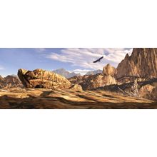 Soaring Southwest Wall Mural
