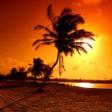 Blazing Sunset Wall Mural