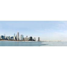 Chicago Skyline In The Winter Wall Mural