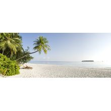 White Sands Panorama Wall Mural