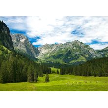 Alpine Meadow Wall Mural
