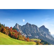 Swiss Alps Autumn Mural Wallpaper