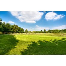 Sunlight Golf Course Wall Mural