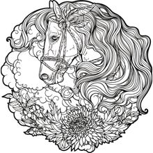 Summer Flower Horse Wall Mural