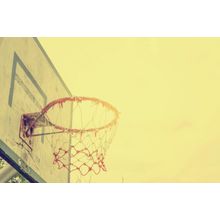 Vintage Hoop Wall Mural