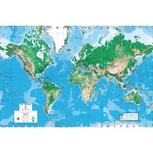 EGI World Map (Continental) Mural Wallpaper