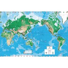 EGI World Map (Australian) Wall Mural
