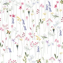 Beautiful Meadow Flowers Wallpaper