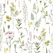 Pretty Prairie Wildflowers Wallpaper