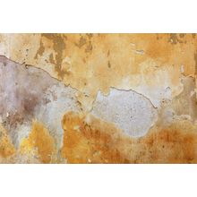 Old Textured Wall Mural