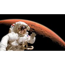 Mars Astronaut Wall Mural