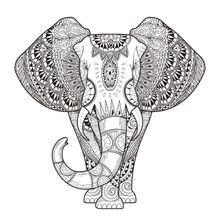 Graceful Elephant Coloring Illustration Mural Wallpaper