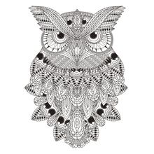 Sumptuous Owl Illustration Wall Mural