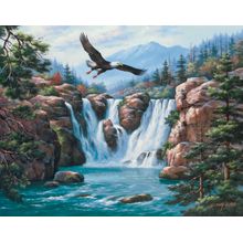 Soaring Eagle Wall Mural