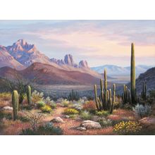 Sonoran Sunset Wall Mural