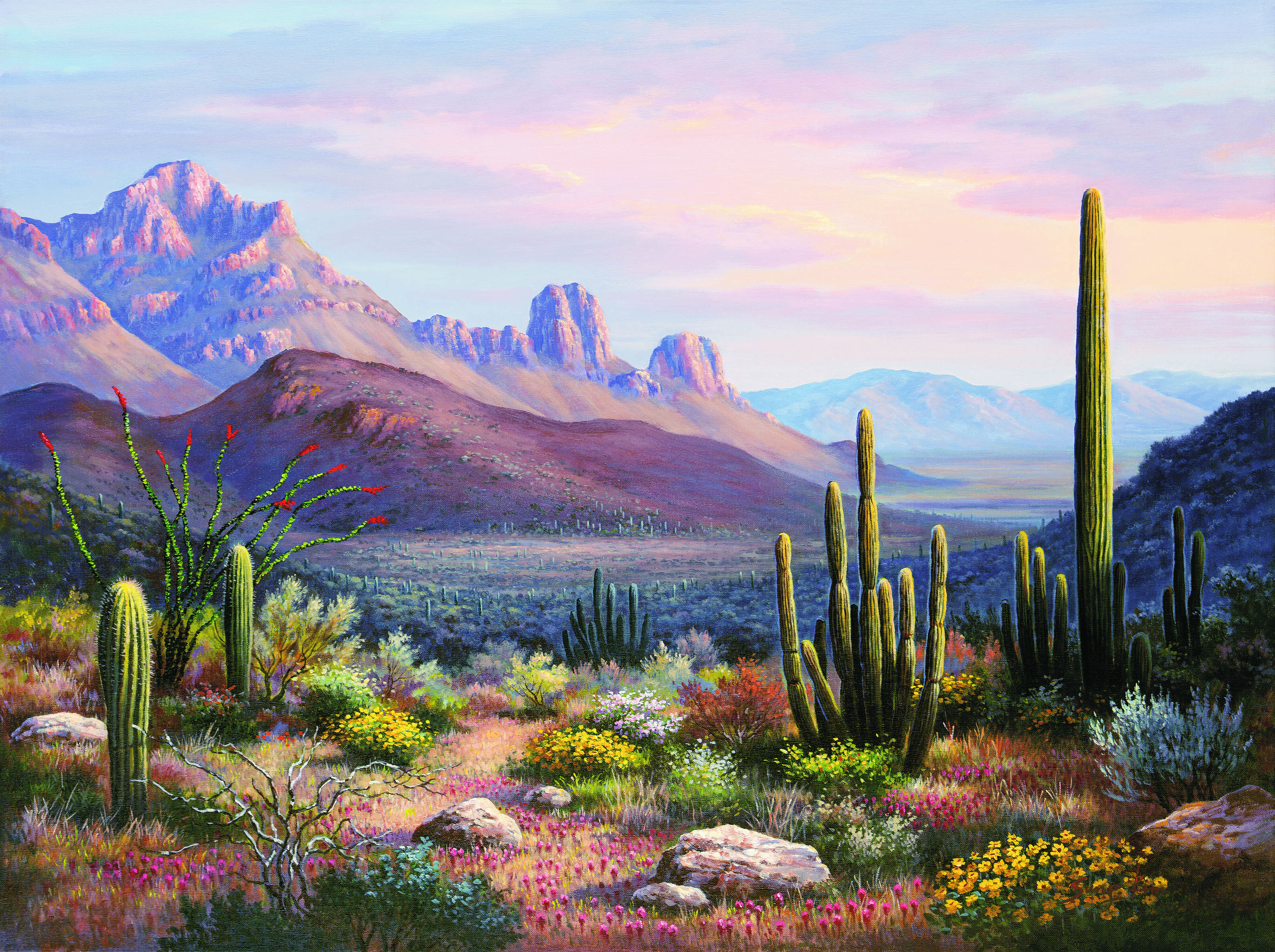 sonoran desert sunset wallpaper