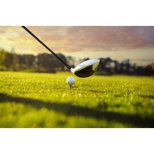 Golf Ball Tee And Driver Wall Mural