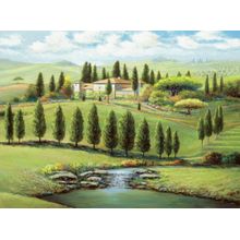 Gamberaia Creek Wall Mural