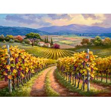 Vineyard Hill I Wall Mural