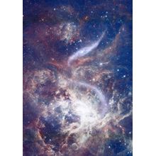 Star Field Galaxy Wall Mural