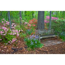 Lee Garden Bench Wall Mural