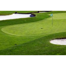Golf Green Wall Mural