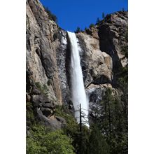 Yosemite Waterfall (Vertical) Wall Mural