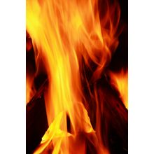 Burning Fire Wall Mural