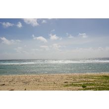 View From The Beach Wall Mural