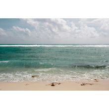 Waves On The Beach Wall Mural