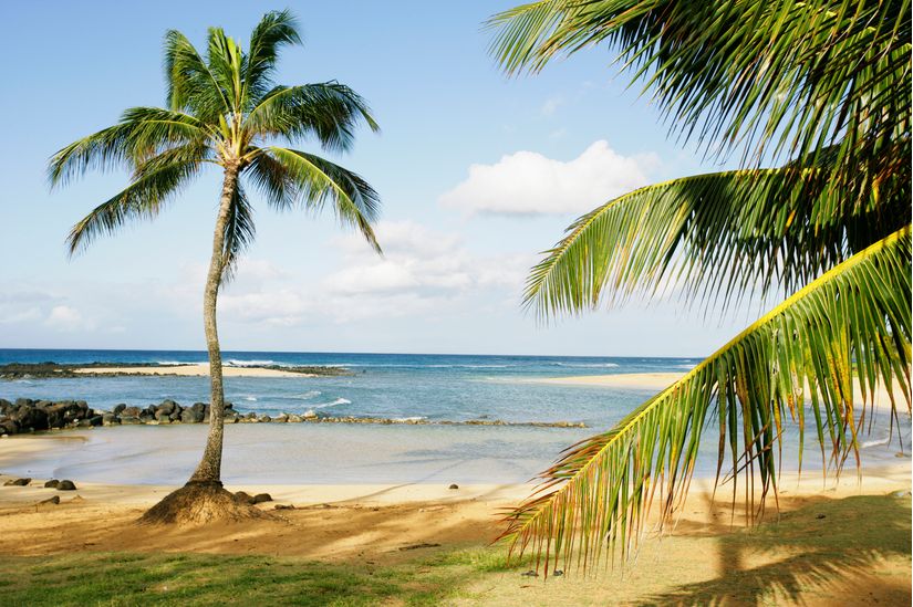 Palms-And-Po-ipu-Kauai-Wall-Mural