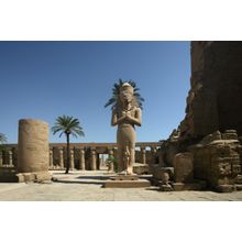 Karnak Temple Courtyard Wall Mural