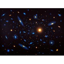 Expanding Wall Mural