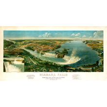 Niagara Falls 1893 Wall Mural