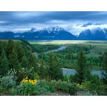 Snake River Outlook, Grand Teton National Park, WY Wall Mural