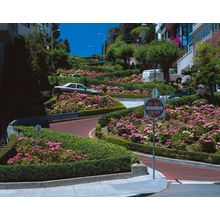 Lombard Street, San Francisco, California Wall Mural