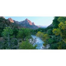 The Watchman And Virgin River, Zion National Park, UT Wall Mural