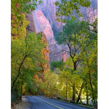 Zion Canyon, Zion National Park, UT Wall Mural