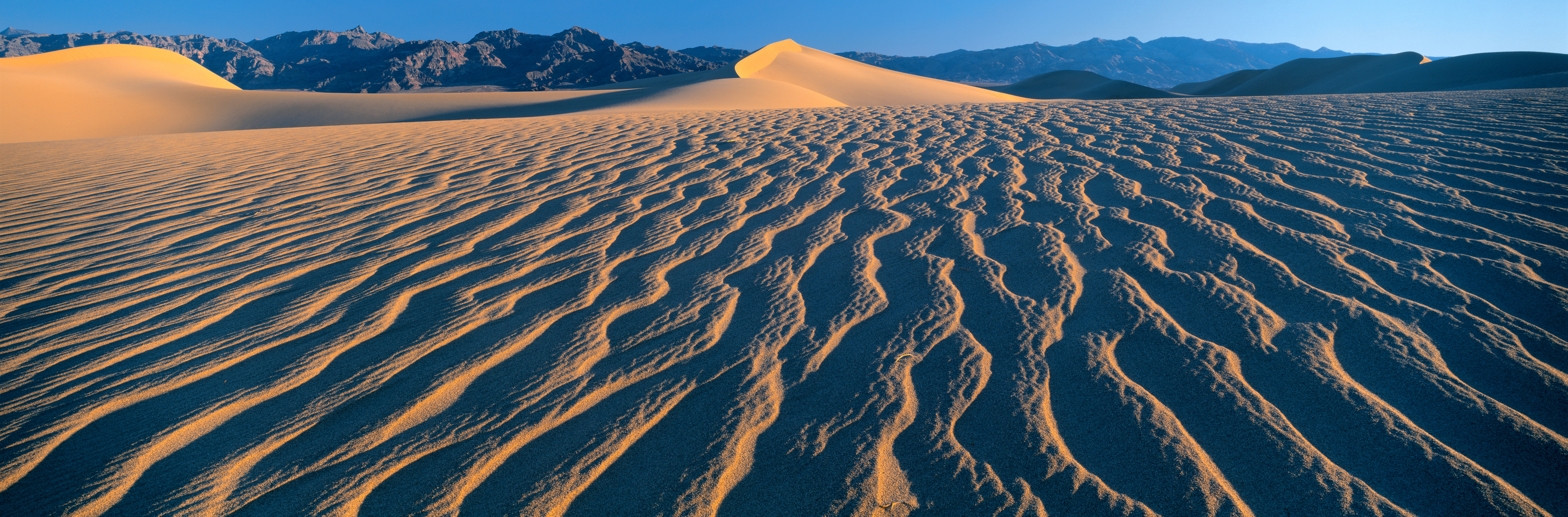 America's Most Dangerous National Parks - Wildland Trekking