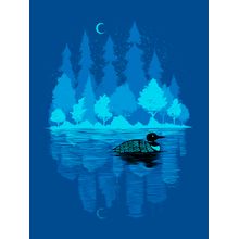 Loon In The Dark Wall Mural