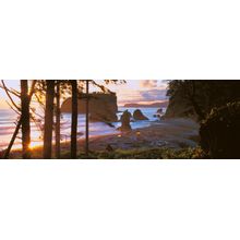 Ruby Beach at Sunset, Olympic National Park, Washington Wall Mural